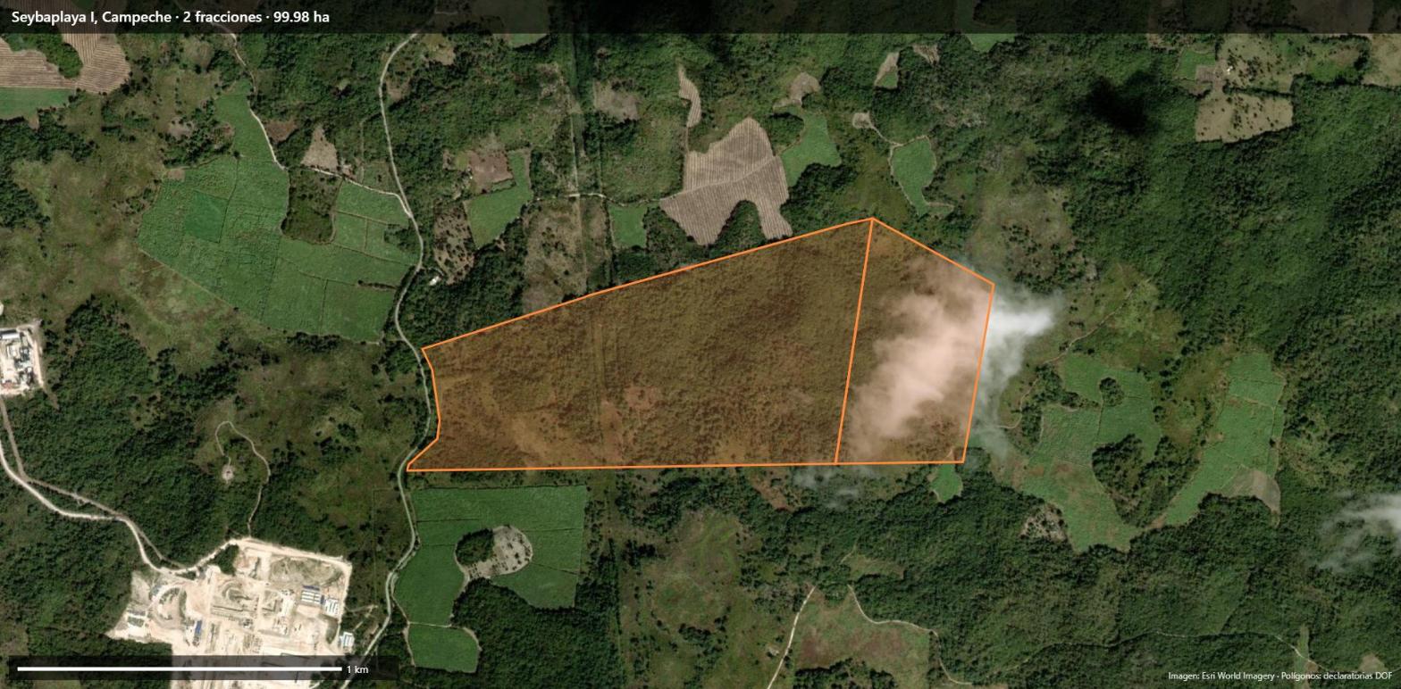 Polígonos de Seybaplaya sobre imagen satelital